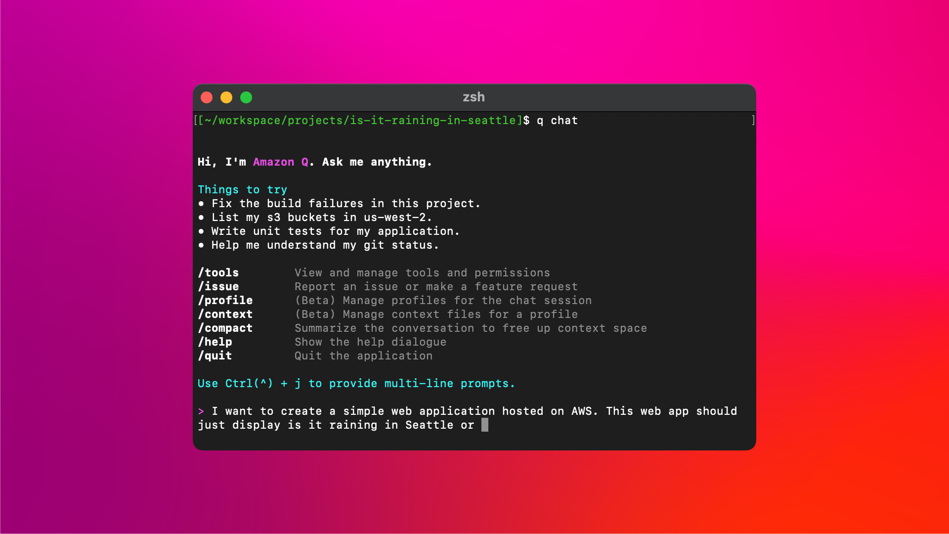 Amazon Q Developer CLI