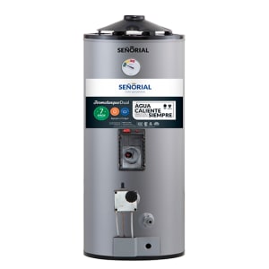 TERMOTANQUE 50L DUAL SEÑORIAL