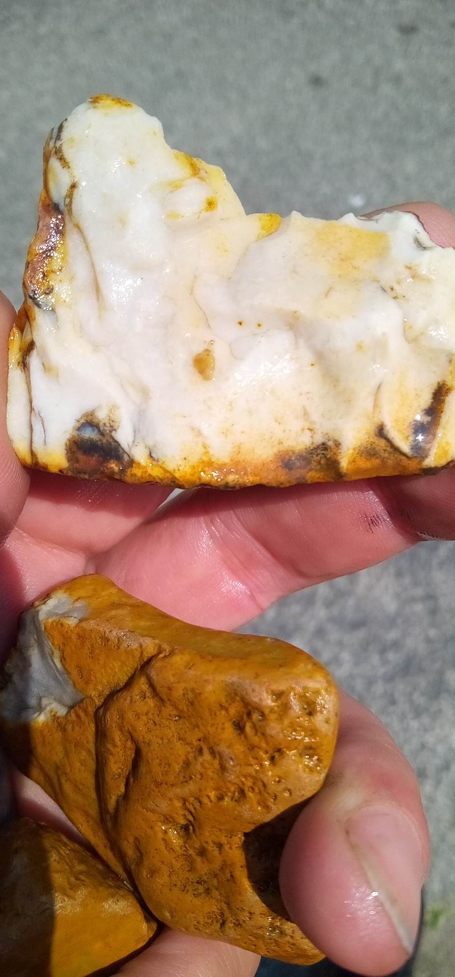 Maybe Chert, Flint, or chalcedony Rock Tumbling Hobby