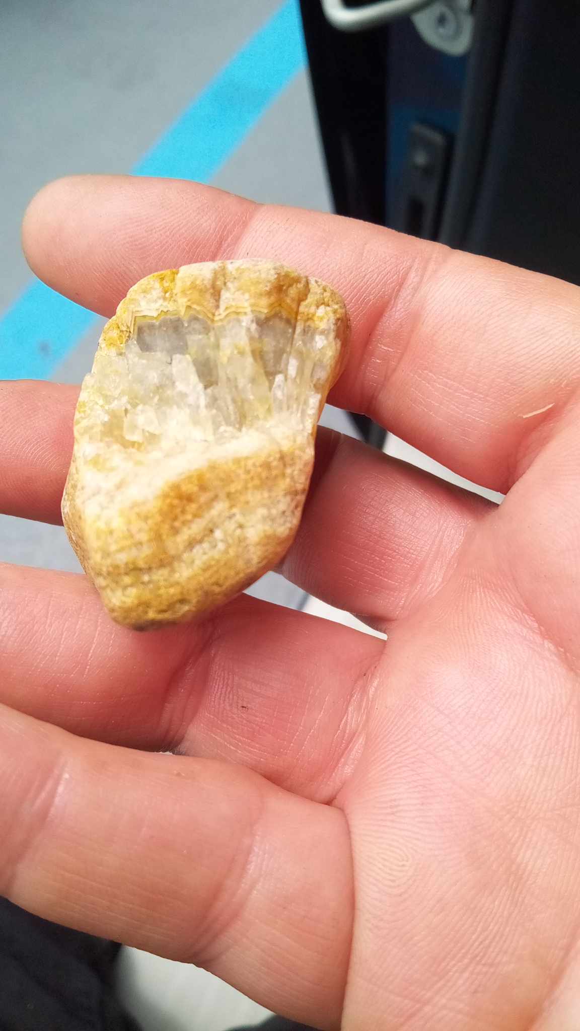 Maybe Chert, Flint, or chalcedony Rock Tumbling Hobby