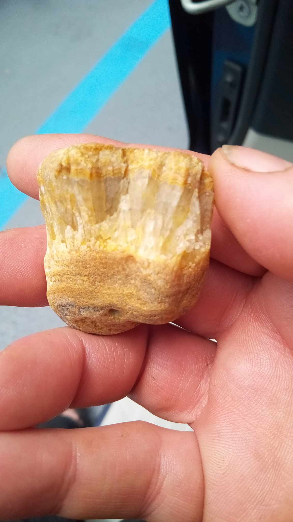 Maybe Chert, Flint, or chalcedony Rock Tumbling Hobby