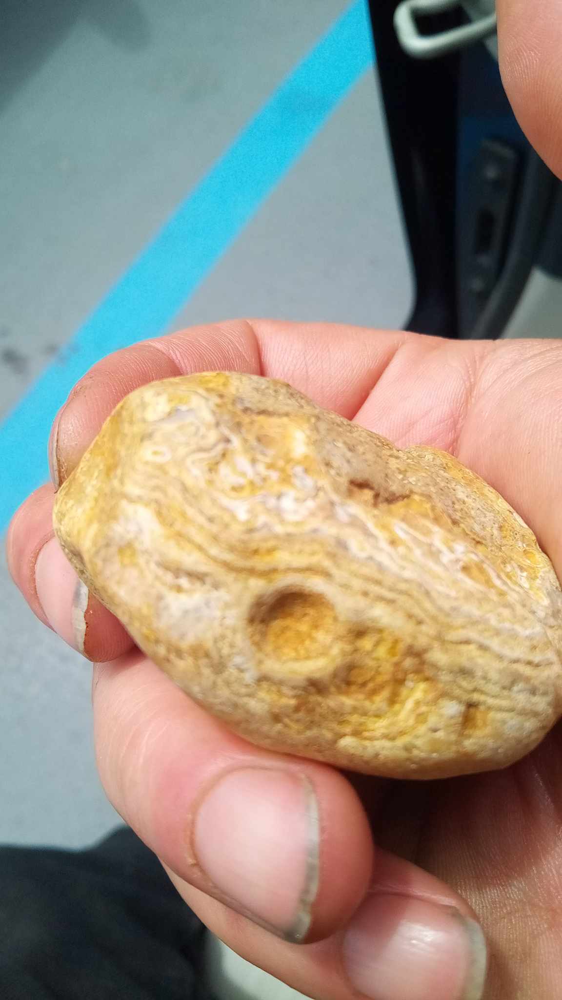 Maybe Chert, Flint, or chalcedony Rock Tumbling Hobby