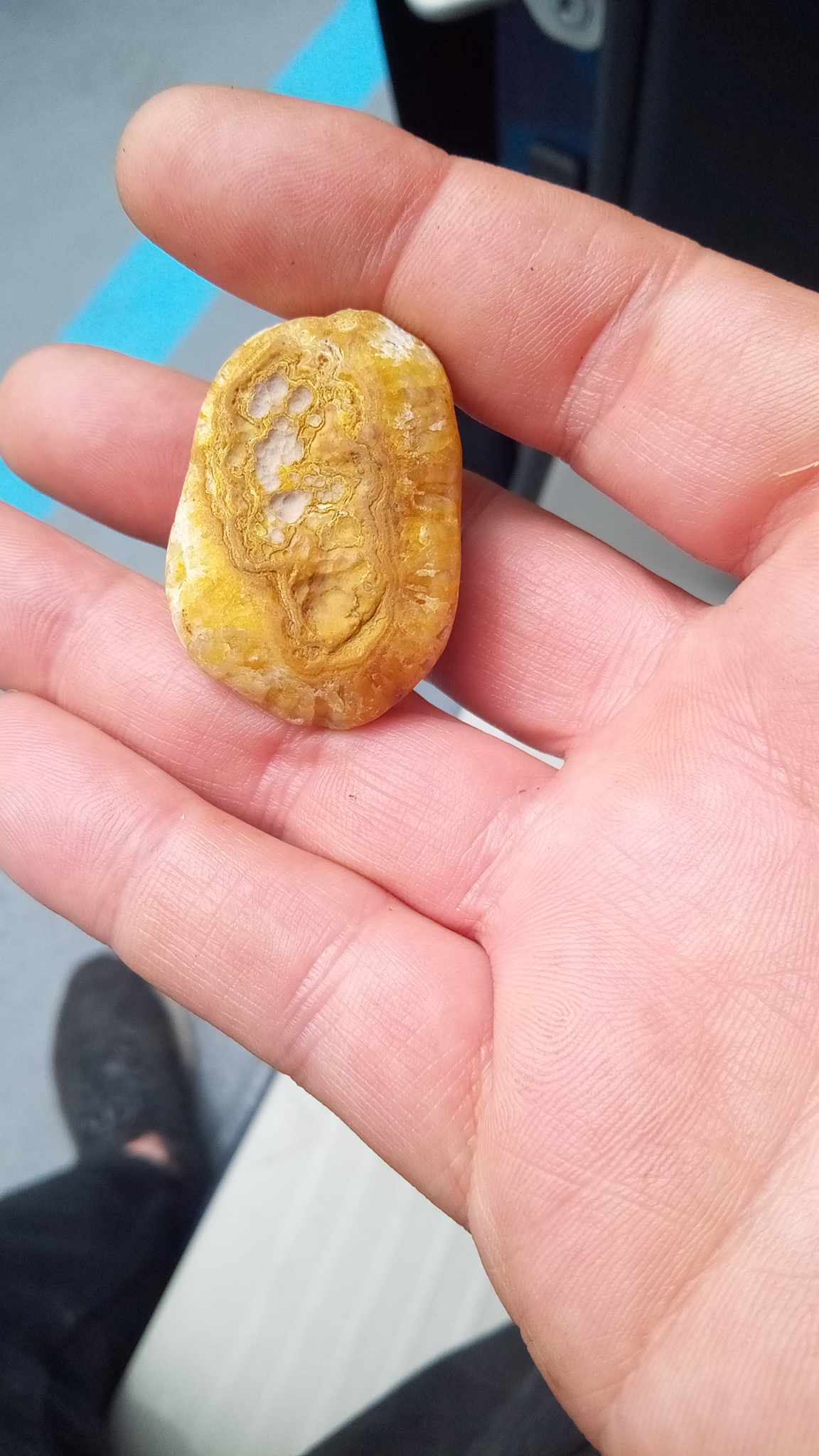 Maybe Chert, Flint, or chalcedony Rock Tumbling Hobby