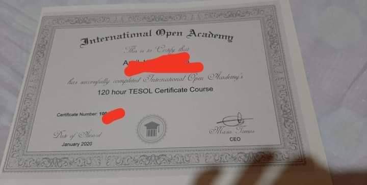 International Open Academy