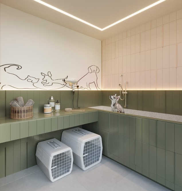 Pet Wash