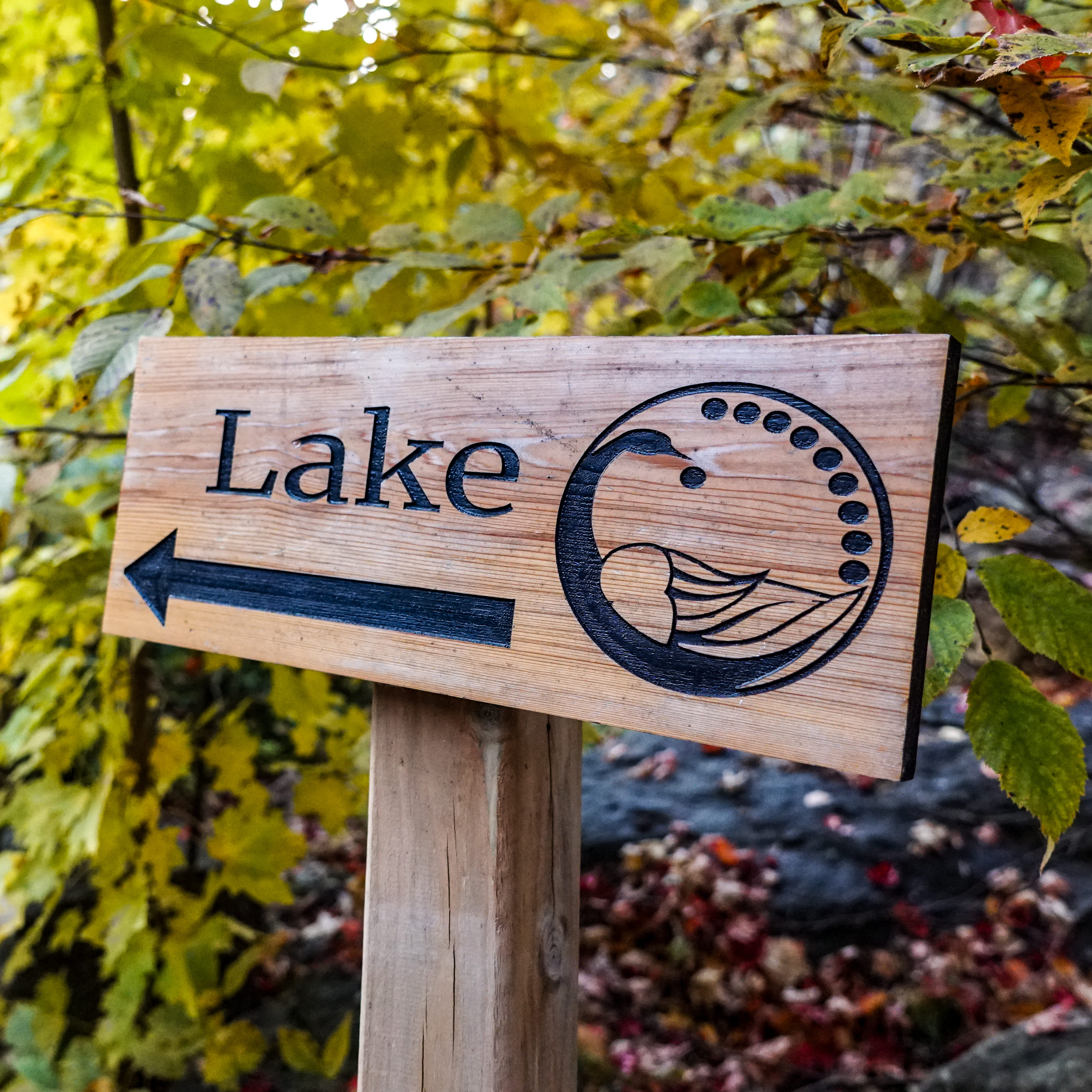 Trailhead Lake House