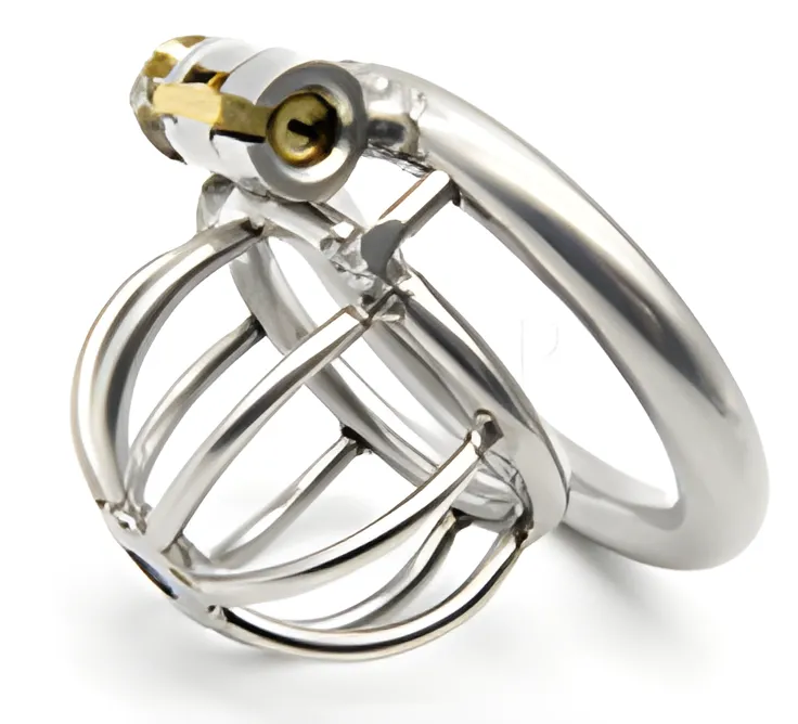 Steel Chastity Cage - Male Chastity Device for BDSM | MyFun.lk