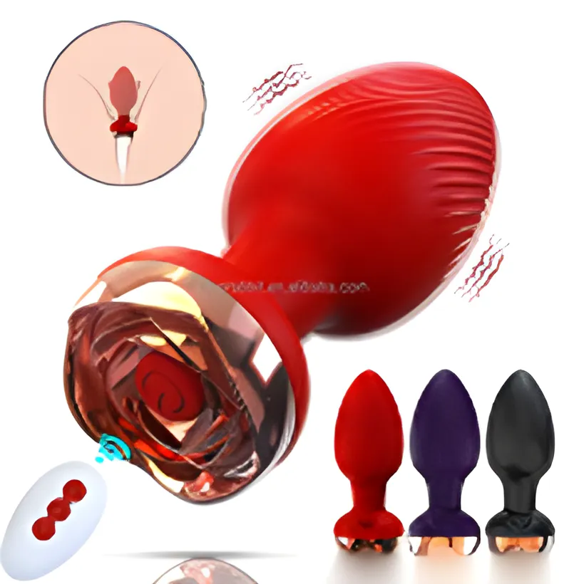 Remote Control Anal Vibrator 10 Frequency | MyFun.lk