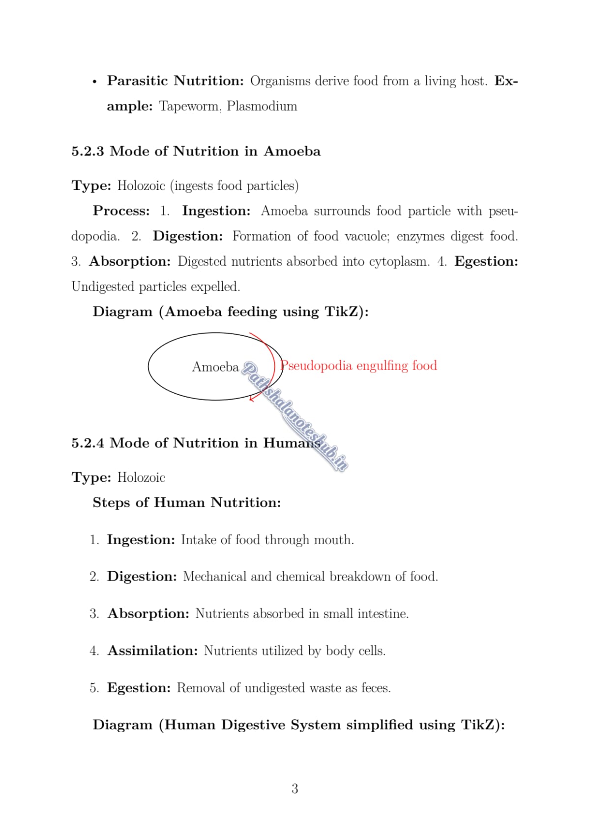 5 PDF Page 3