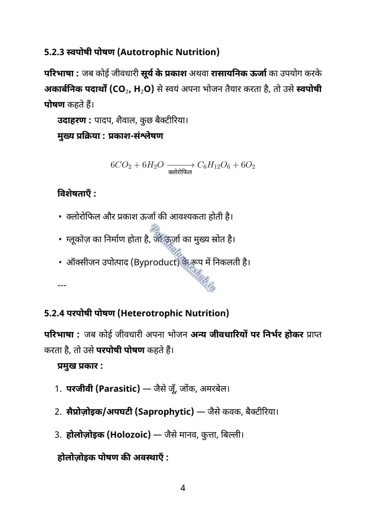 5 PDF Page 4