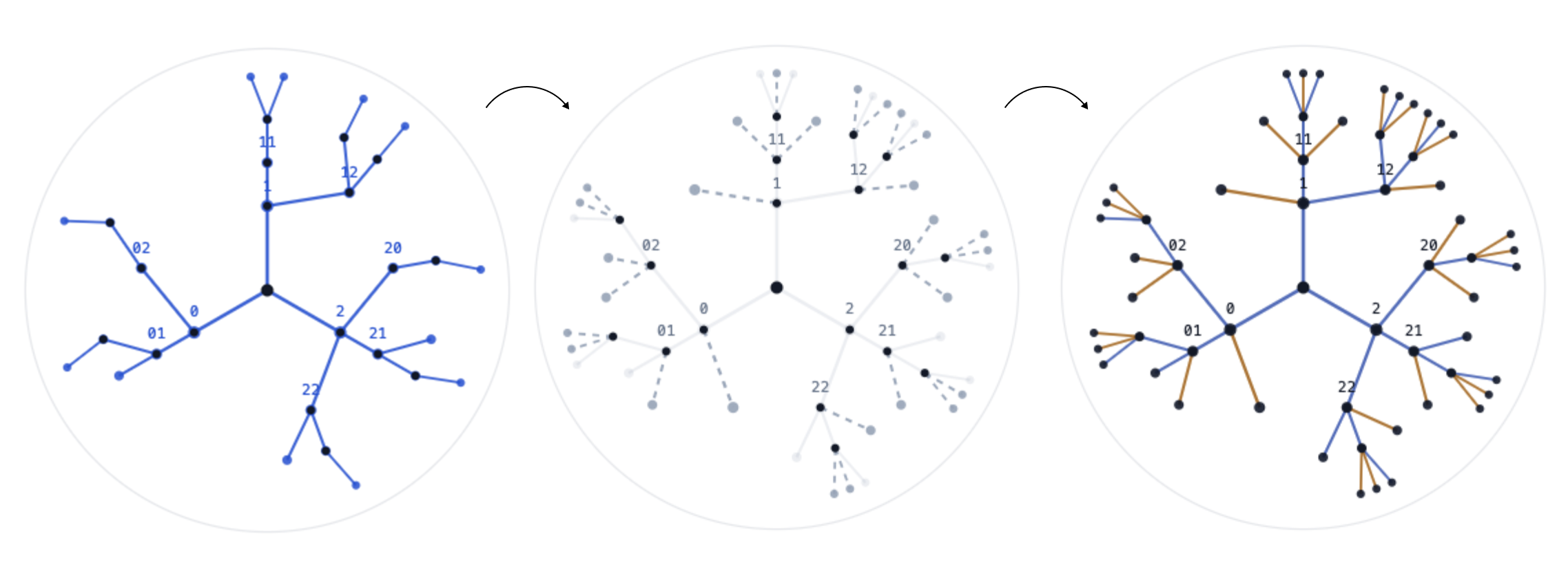 Four-panel: (A) observed sparse subgraph C, (B) missing branches highlighted, (C) Twin T filling them in, (D) complete structure C∪T with invariant satisfied.