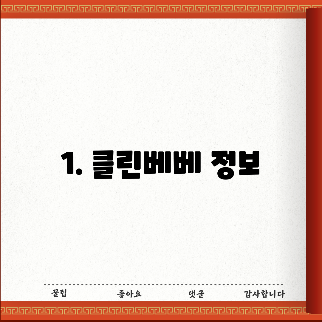 1. 클린베베 정보