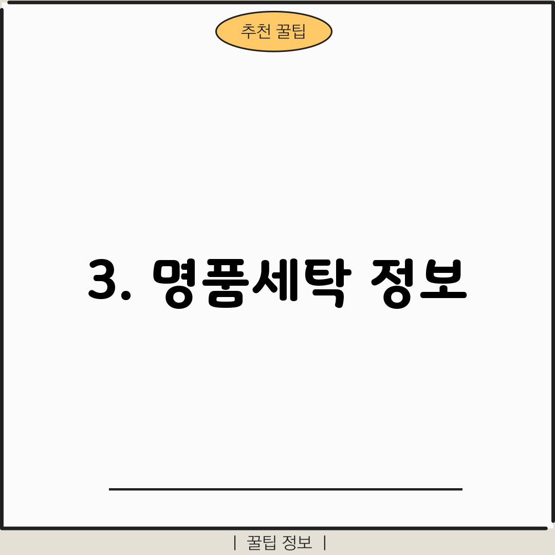 3. 명품세탁 정보