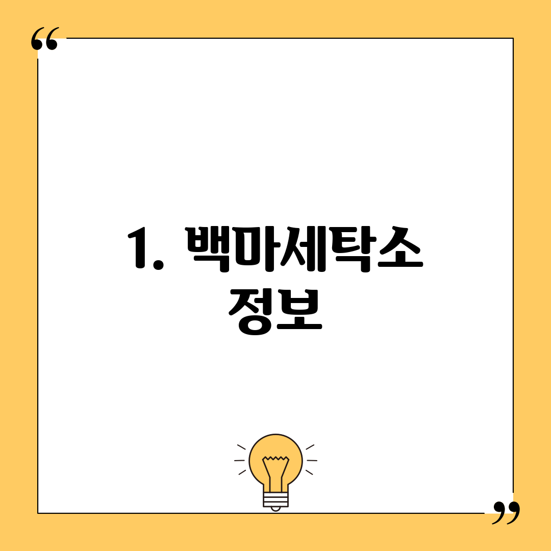 1. 백마세탁소 정보