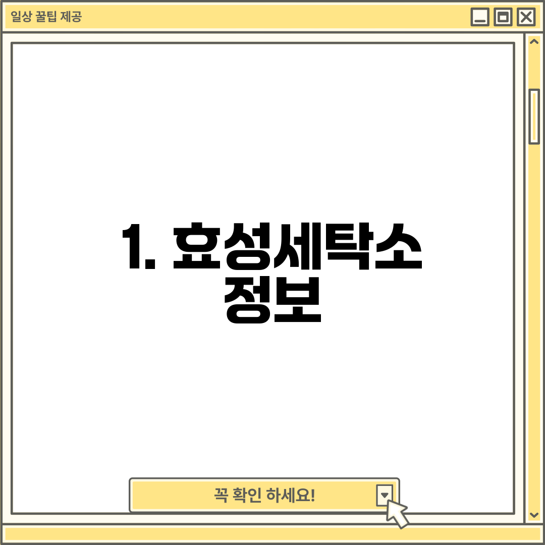 1. 효성세탁소 정보