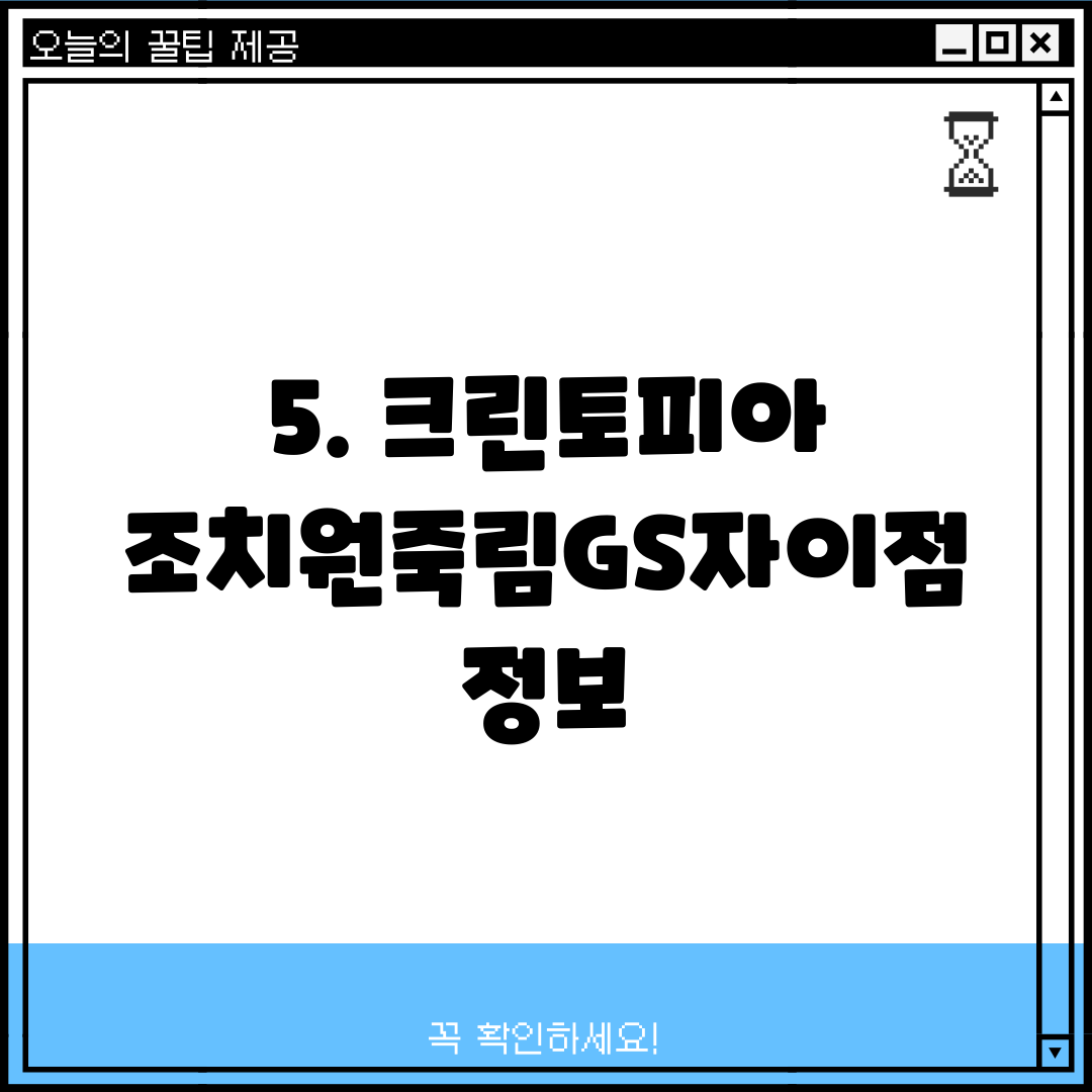 5. 크린토피아 조치원죽림GS자이점 정보