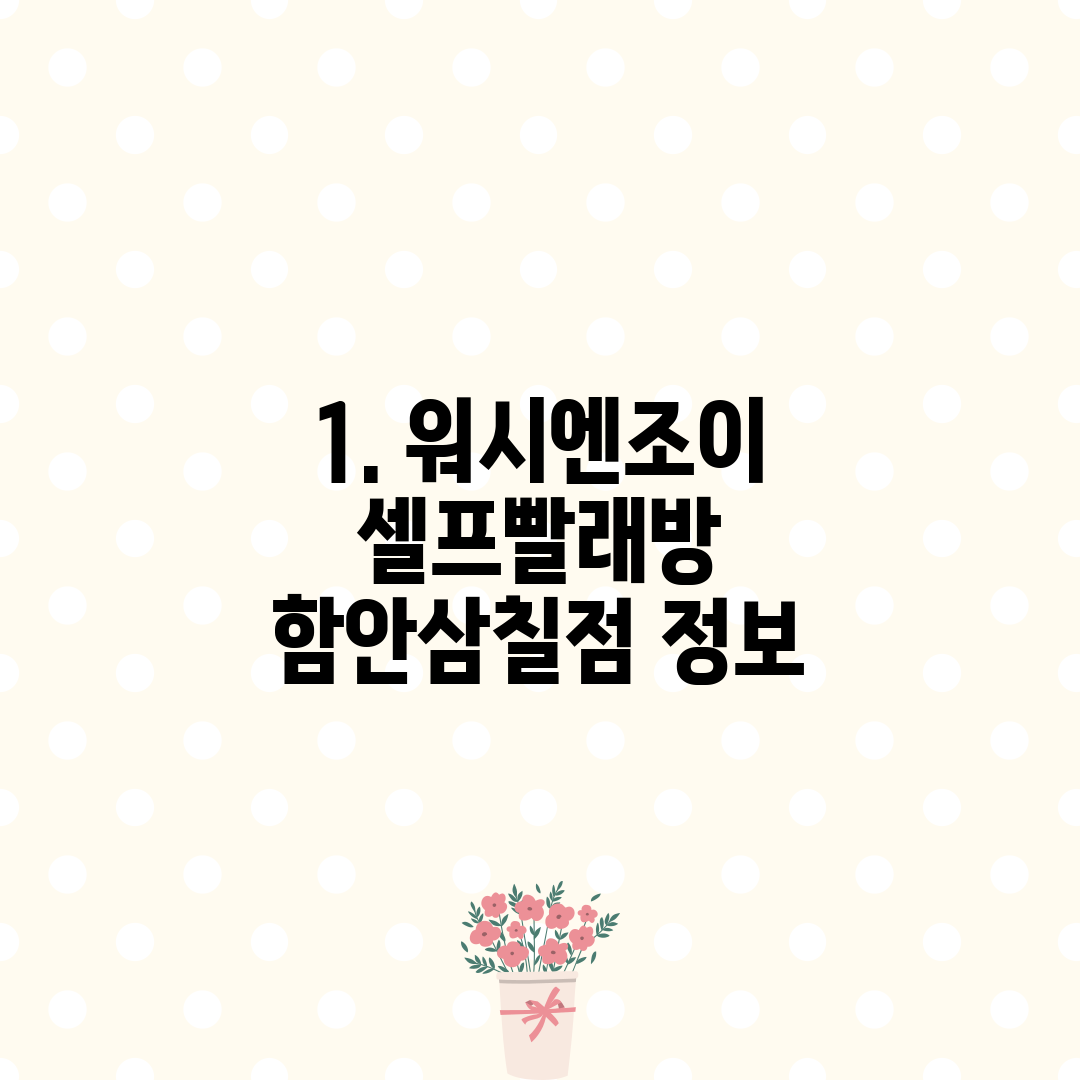 1. 워시엔조이 셀프빨래방 함안삼칠점 정보