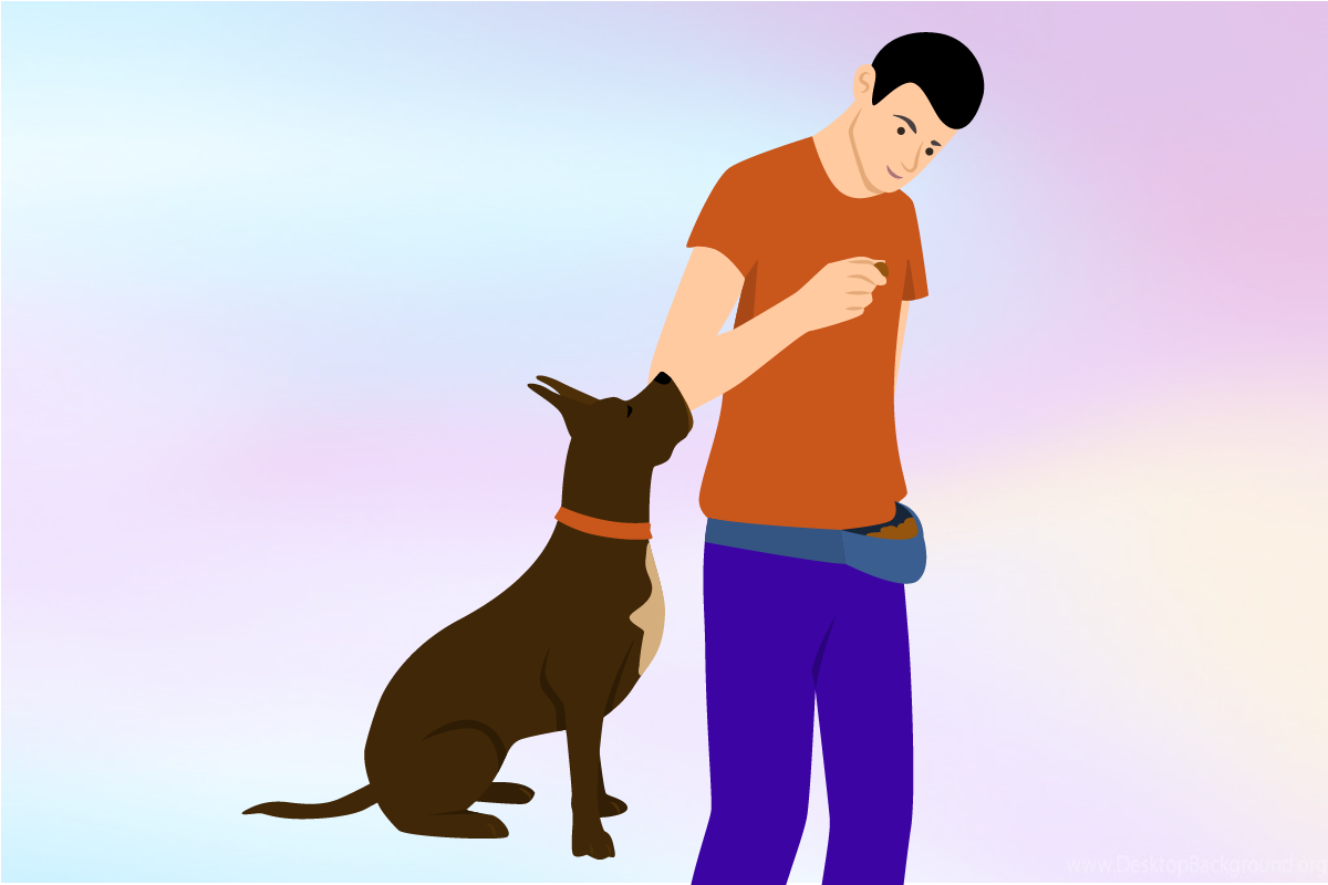 does positive dog training work