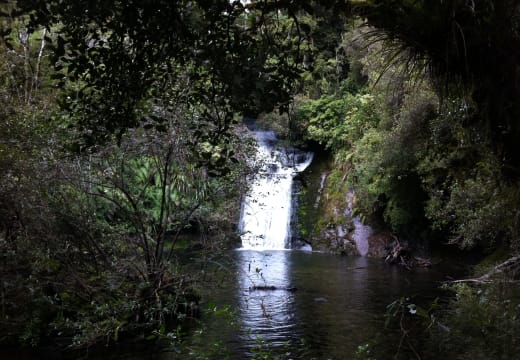Te Urewera National Park