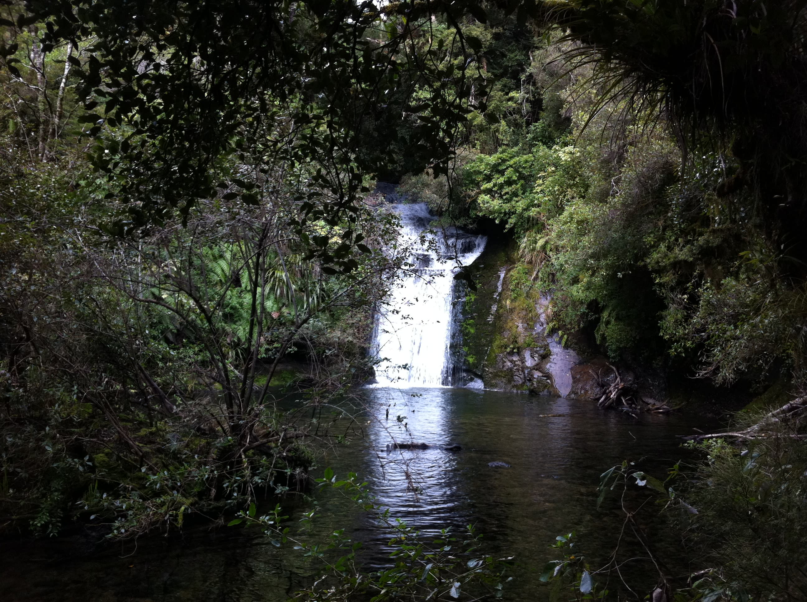 Te Urewera National Park