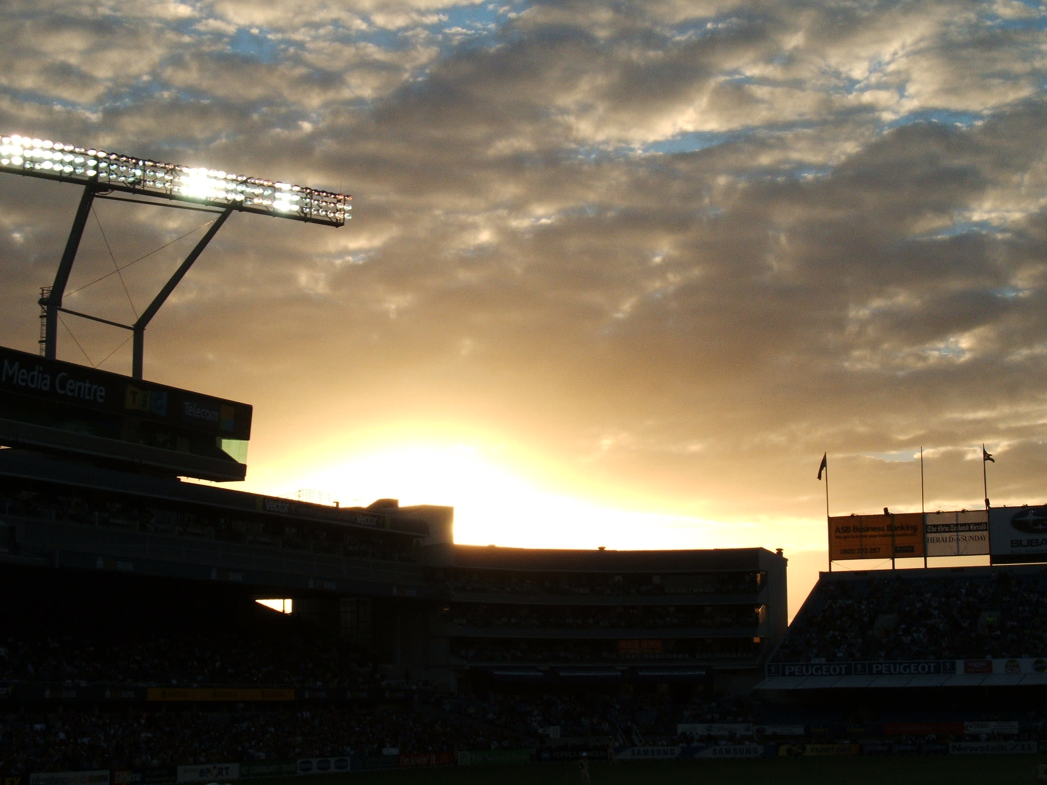 Le cricket, une expérience magique