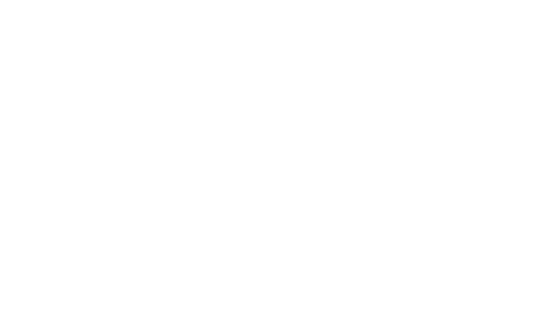 bf-10yr-logo-no-bg