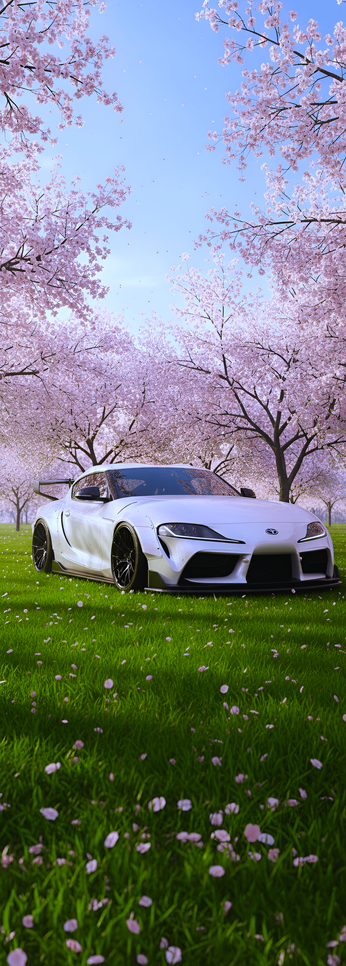 Red sports car wallpaper