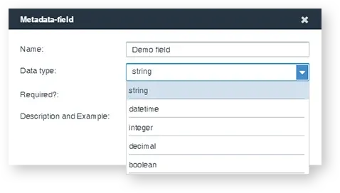 metadata field