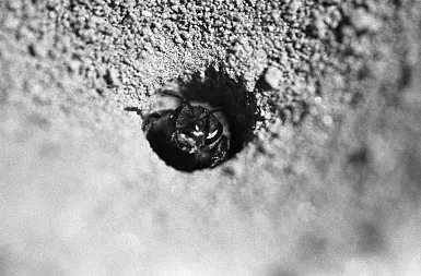 photos foto bianco nero black white analogue photographer fotografo black&white