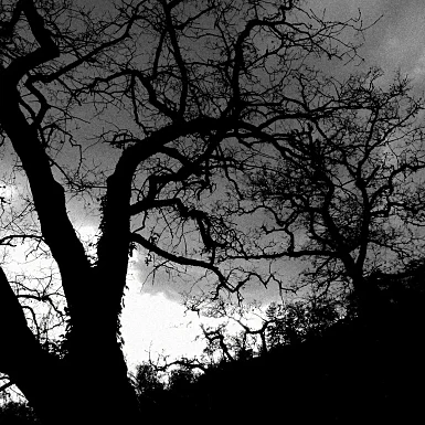 smartphone photography bicycle lines black&white