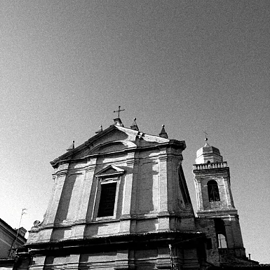 smartphone photography flower contrast backlight black&white