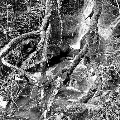 smartphone photography fountain pen journal black&white