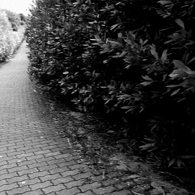 smartphone photography crop shade black&white