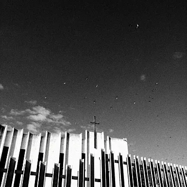 photos foto bianco nero black white analogue photographer fotografo black&white