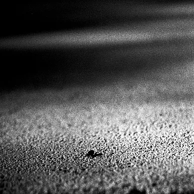 photos foto bianco nero black white analogue photographer fotografo black&white