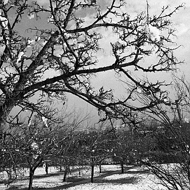 smartphone photography contrast lightpole black&white