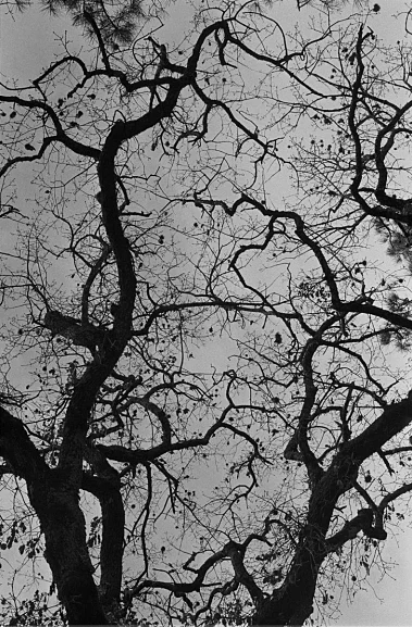 photos foto bianco nero black white analogue photographer fotografo black&white