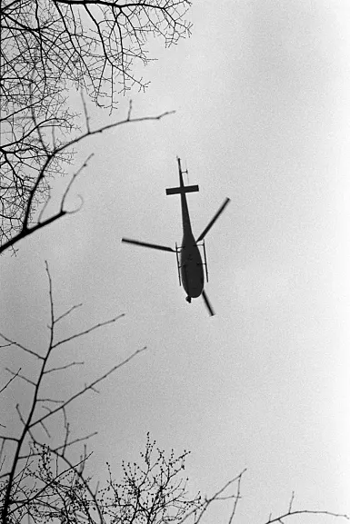 photos foto bianco nero black white analogue photographer fotografo black&white