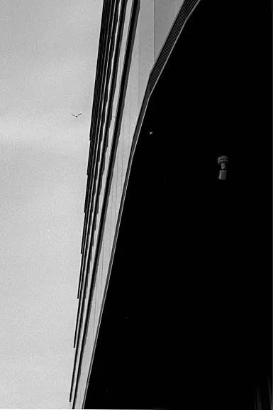 photos foto bianco nero black white analogue photographer fotografo black&white