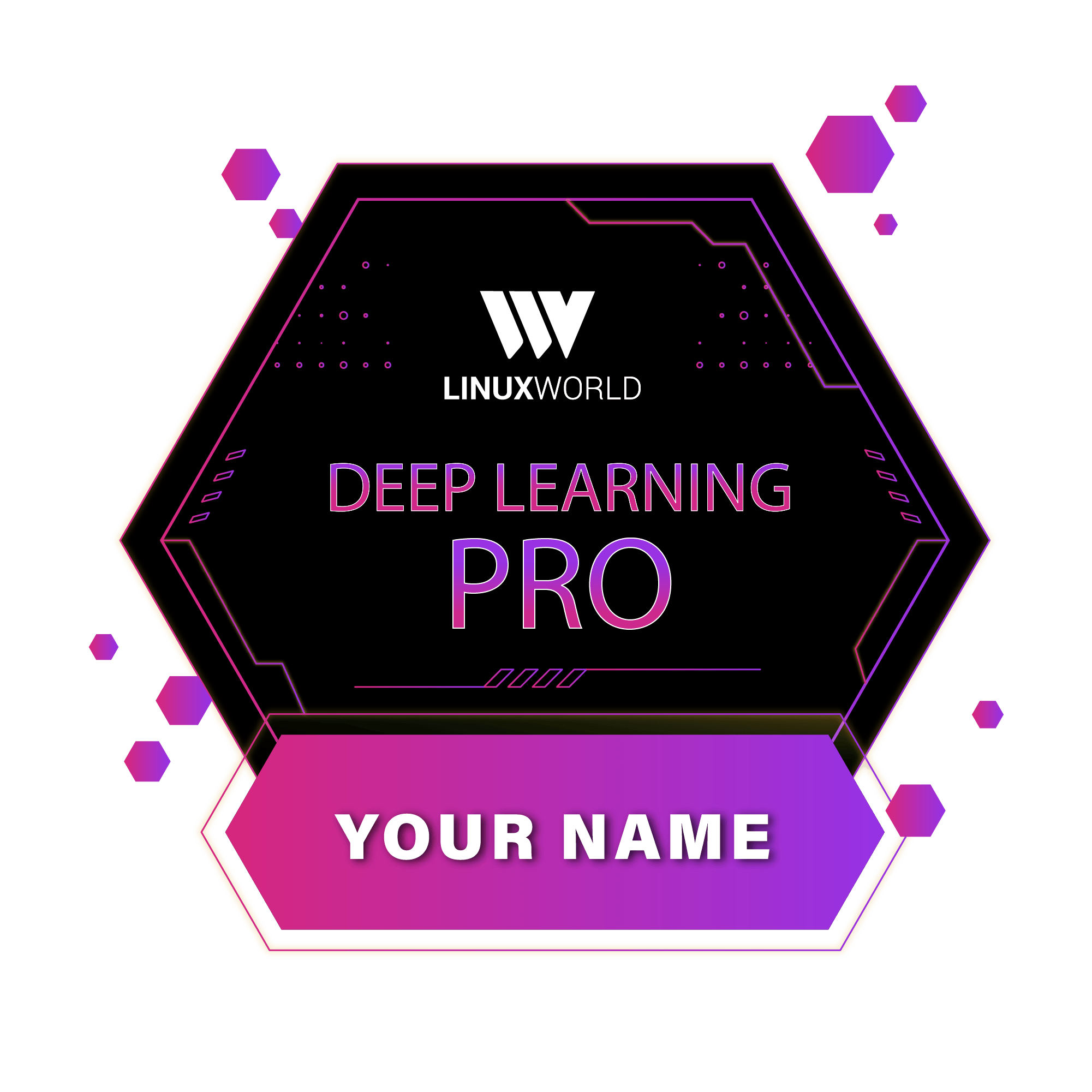 Deep Learning Pro