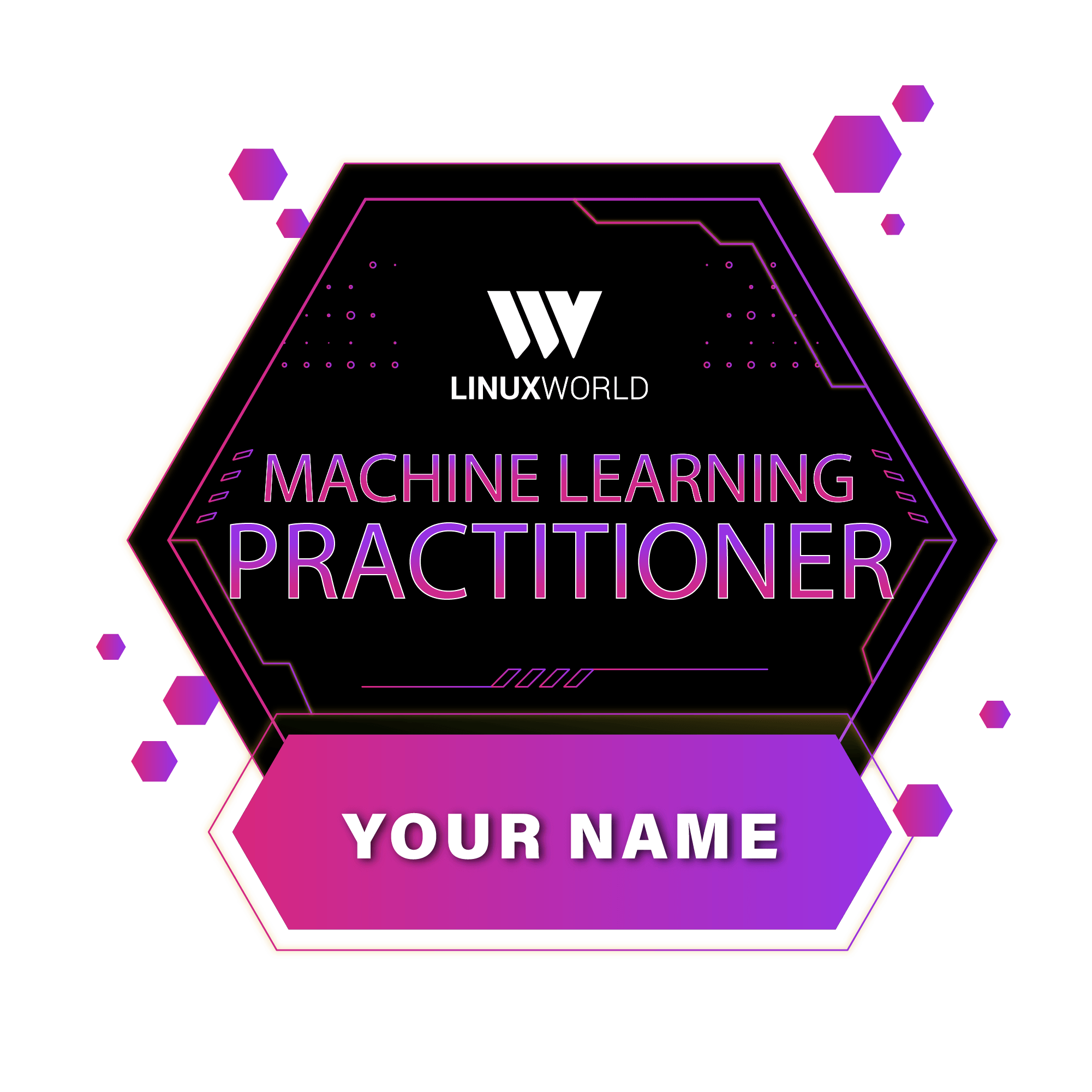 ML Practitioner