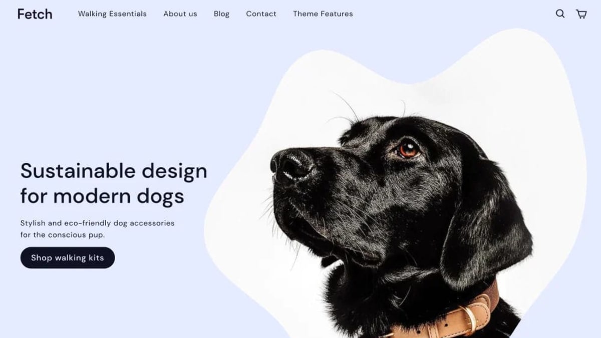 Fetch Shopify theme