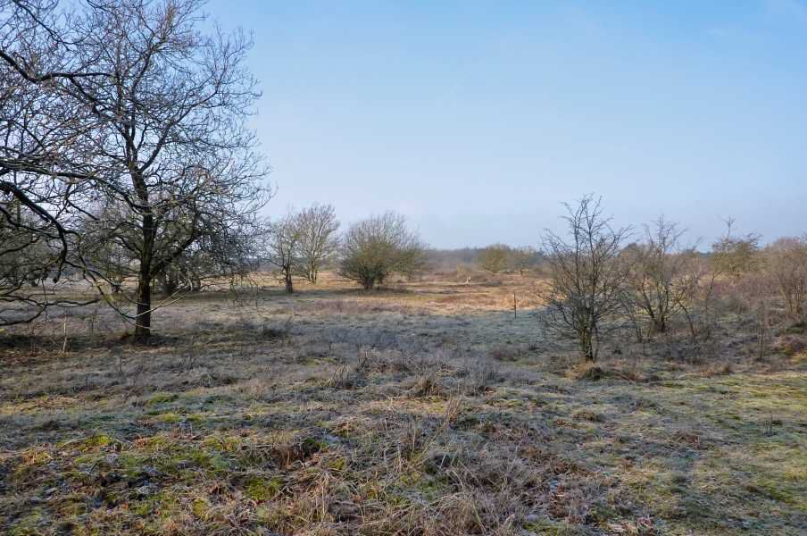 losloopgebied Bakkeveense Duinen te Bakkeveen