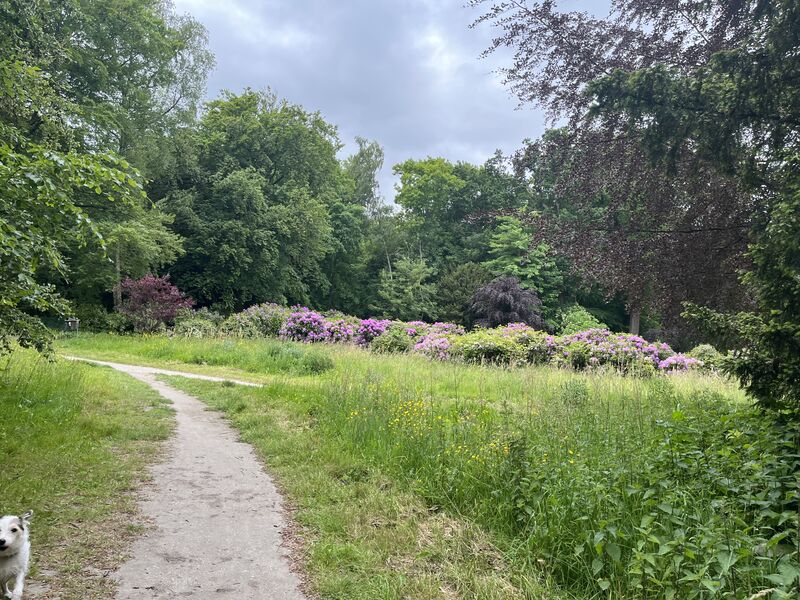 losloopgebied Landgoed Backershagen te Wassenaar