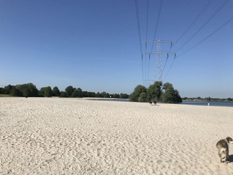 losloopgebied Almeerderstrand te Almere