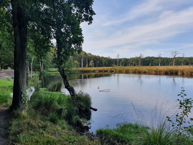 losloopgebied Appelbergen te Glimmen