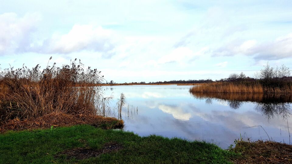 Losloopgebied Ankeveense Plassen te Ankeveen