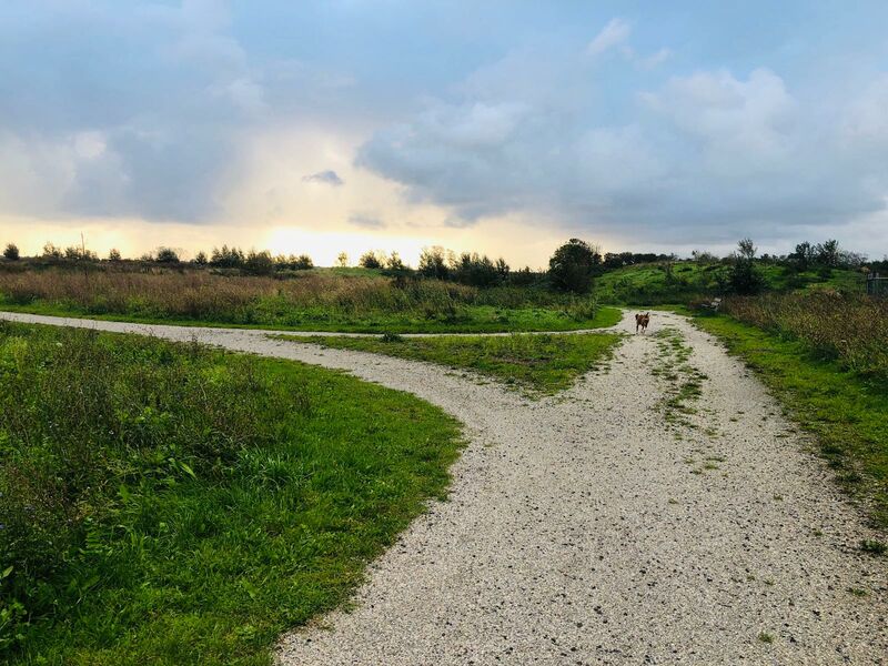 losloopgebied Aagtenpark te Beverwijk