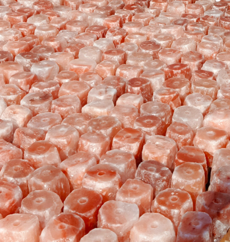 Animal Licking Salt 2