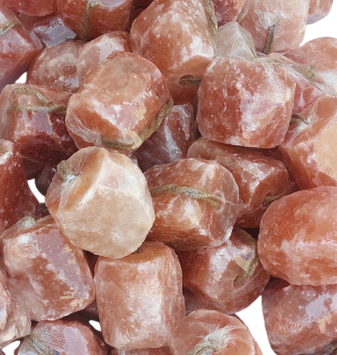 Animal Licking Salt 3